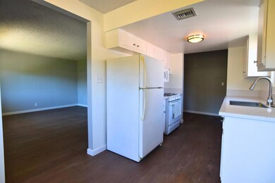 748 Teaberry St, Encinitas, CA 92024 - photo 5