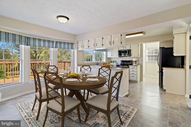 5405 Autumn Field Ct, Ellicott City, MD 21043 - photo 4