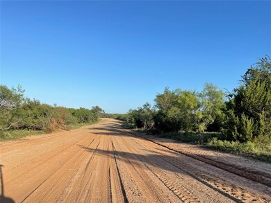 140 Tobiano Trace, Brock, TX 76087 - photo 4