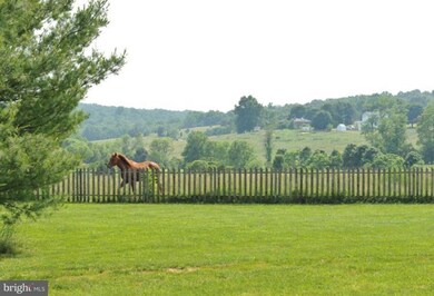 12900 Lewisdale Rd, Clarksburg, MD 20871 - photo 3