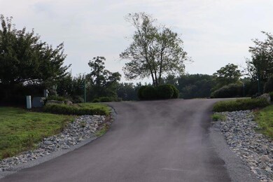 IMG_0165(2)