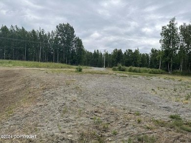 Large Lot