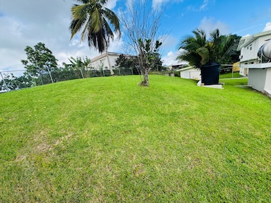 919 Carr 919 unit Lot 7, Juncos, PR 00777 - photo 5