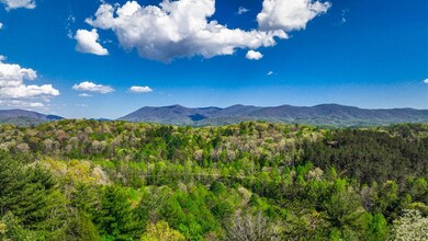 43 Dustin Dr, Ellijay, GA 30540 - photo 4