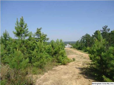 Wide dirt roads still remain and with a little wor
