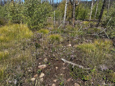 1175-1176 Macomber Ln unit 1175-1176, Fort Garland, CO 81133 - photo 3