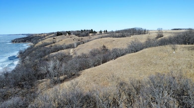 TBD 300th St, Beardsley, MN 56211 - photo 7