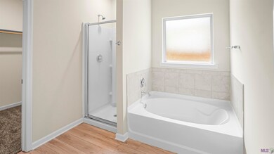 21242 W Grove Dr, Zachary, LA 70791 - photo 6