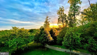 8158 Douglas Fir Dr, Lorton, VA 22079 - photo 4