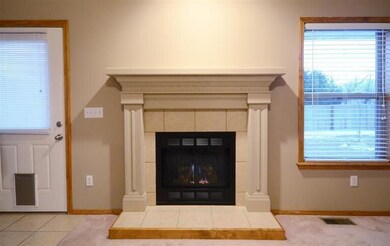 852 W LORENZA CLOSE UP OF FIREPLACE