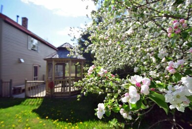 The mature, blooming crabapple tree...