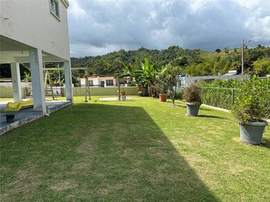 902 Km 0 1 Bo Cayaguas, San Lorenzo, PR 00754 - photo 5