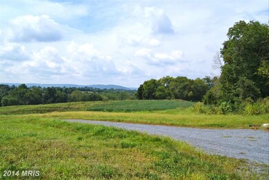 3712 Petersville Rd, Knoxville, MD 21758 - photo 3