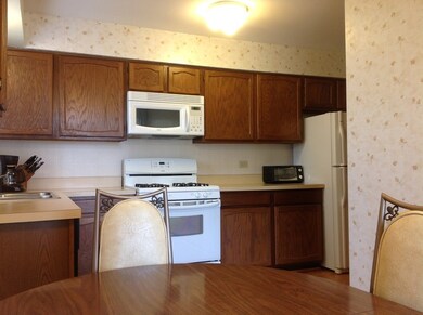 1501 Harbour Ct unit 1B, Schaumburg, IL 60193 - photo 6
