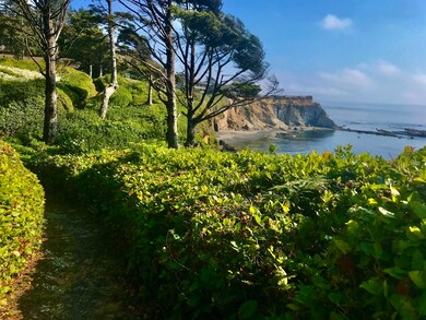 Trail view