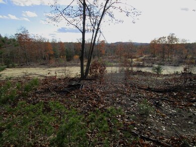 Strickland Ferry Wayne 015 (Custom) (2)