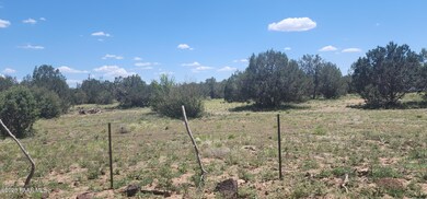 530 W Highland St, Ash Fork, AZ 86320 - photo 4