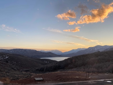 viewNew