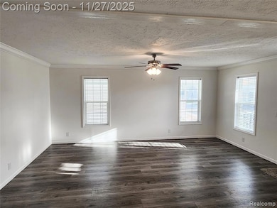 650 W Adrian St, Blissfield, MI 49228 - photo 4