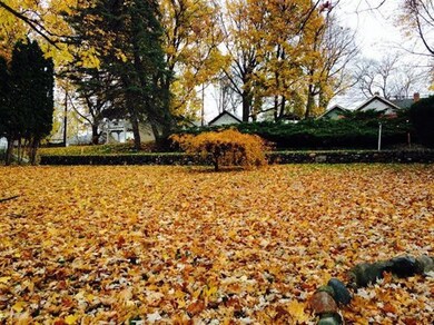 0 Van Buren unit 22100, Chelsea, MI 48118 - photo 3