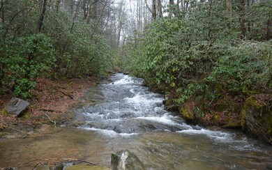 7717 Doublehead Gap Rd, Blue Ridge, GA 30513 - photo 2