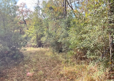 0 Frank Cloud Rd, Huntsville, TX 77320 - photo 7