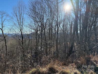 000 Trillium Ln unit 30, Mars Hill, NC 28754 - photo 7