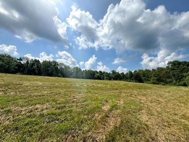 266 Golf Course Rd unit (Tract 9 Skyline Acr, Pebble Township, OH 45690 - photo 7