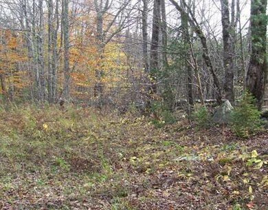 Land/Lot.