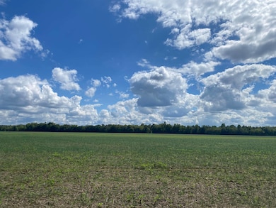 0 Teal Ln unit 10183549, Savannah, TN 38372 - photo 7