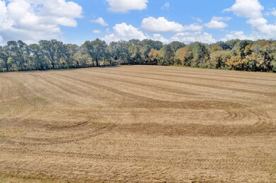 15870 Highway 70 E, Stanton, TN 38069 - photo 2