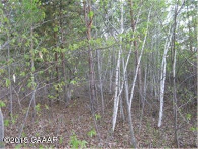 12267 Reubens Lodge SW, Farwell, MN 56327 - photo 4