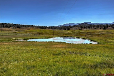 1801 County Road 400, Pagosa Springs, CO 81147 - photo 6