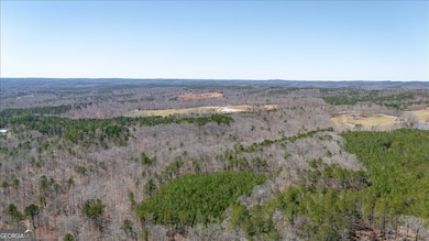 0 Snote Jones Rd unit 10651187, Dallas, GA 30132 - photo 5