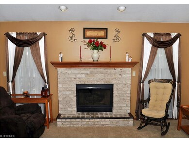 Fire Place (Gas) - Living Room