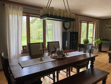 10031 S Riverbend Dr, Baldwin, MI 49304 - photo 6