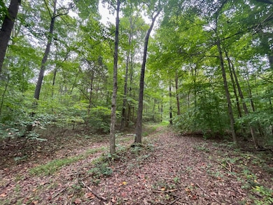 0 Halls Creek Rd, Olaton, KY 42361 - photo 5