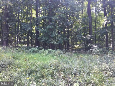 30 Luchase Rd unit VAWR141564, Linden, VA 22642 - photo 4