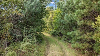 TBD Old Reaves Ferry Rd unit TBD Old Highway 90, Conway, SC 29526 - photo 6