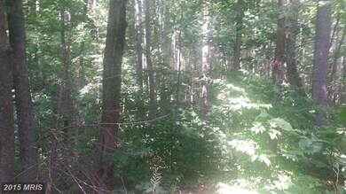 0 High Rd unit 1003155774, Madison, VA 22727 - photo 3