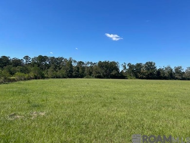 01 Old Highway 51, Amite, LA 70422 - photo 3