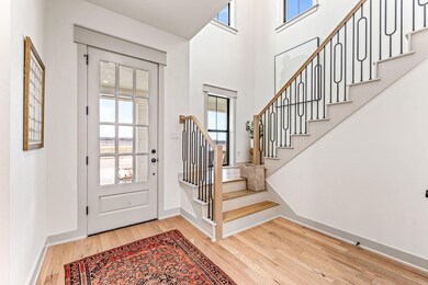 110 E Bluff Ln, Millsap, TX 76066 - photo 3