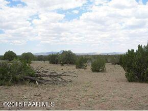 107 Juniperwood Ranch, Ash Fork, AZ 86320 - photo 5