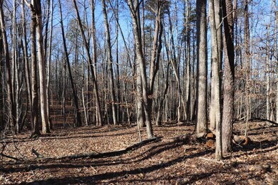 Lot 2C Wilderness Way, Moneta, VA 24121 - photo 4