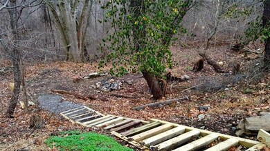 Backyard: Steps leading down to private firepit