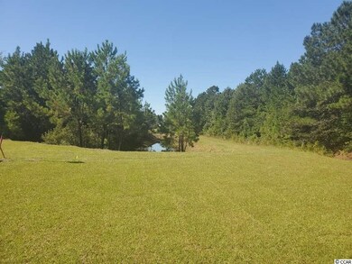 1116 Dalmore Ct unit Lot 171 Republic B, Conway, SC 29526 - photo 4