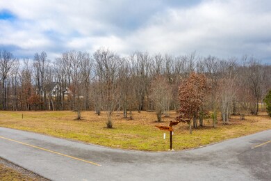 0 Hovering Hawk Dr unit RTC2917101, Jasper, TN 37347 - photo 2