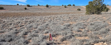 25670 Saint Joseph Rd, Paulden, AZ 86334 - photo 2