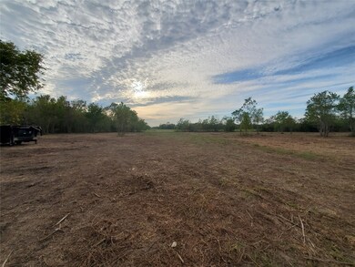 1305 Rymal Rd, Alvin, TX 77511 - photo 7