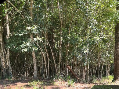 0 University Ave unit 25726, Troy, GA 30681 - photo 2